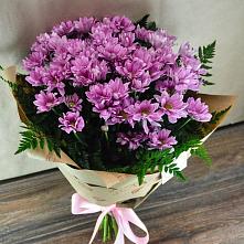 Букет цветов из:  Хризантемы #REPLACE_PRED# Кочках