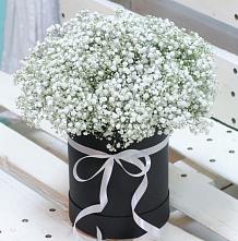 Цветочная композиция из Гипсофила в шляпной коробке #REPLACE_PRED# Кочках